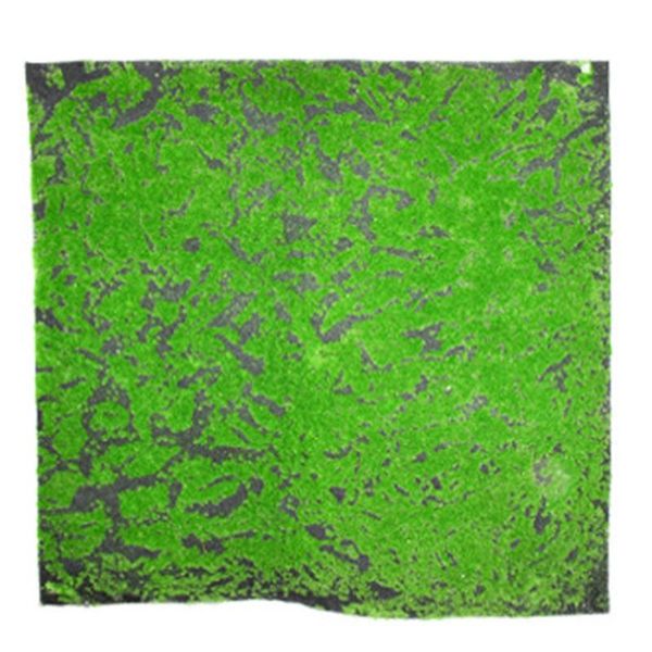 1mx1m square artificial plant lawn home simulation plant background wall moss turf green sod interior window decoration
1mx1m square artificial plant lawn home simulation plant background wall moss turf green sod interior window decoration