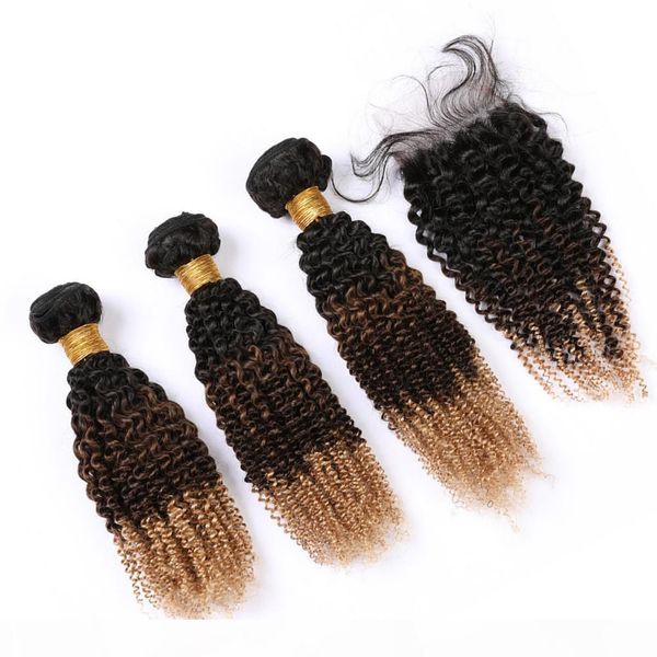 peruvian kinkys curly #1b 4 27 ombre human hair weave bundles and lace closure black brown to honey blonde 3tone ombre hair extensions
peruvian kinkys curly #1b 4 27 ombre human hair weave bundles and lace closure black brown to honey blonde 3tone ombre hair extensions