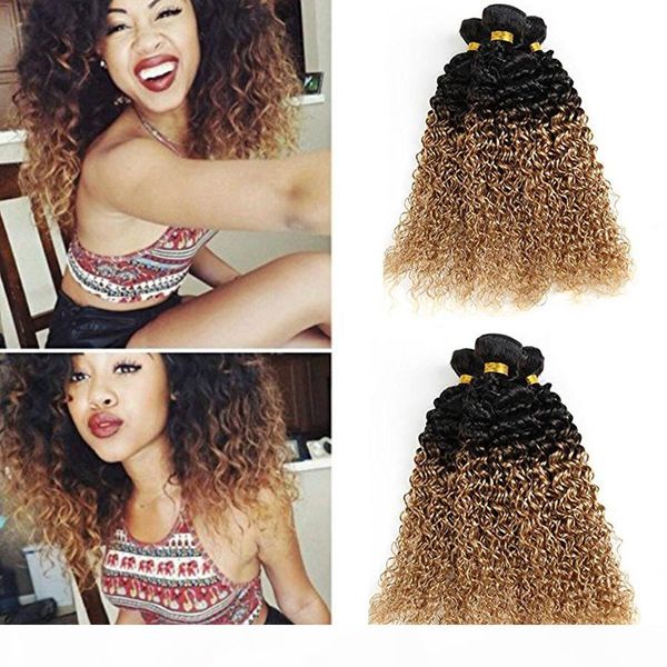 8a brazilian human hair 1b 27 ombre kinky curly virgin hair 3 bundles two tone hair weft double beauty weaves extensions ing, Black;brown
8a brazilian human hair 1b 27 ombre kinky curly virgin hair 3 bundles two tone hair weft double beauty weaves extensions ing, Black;brown
