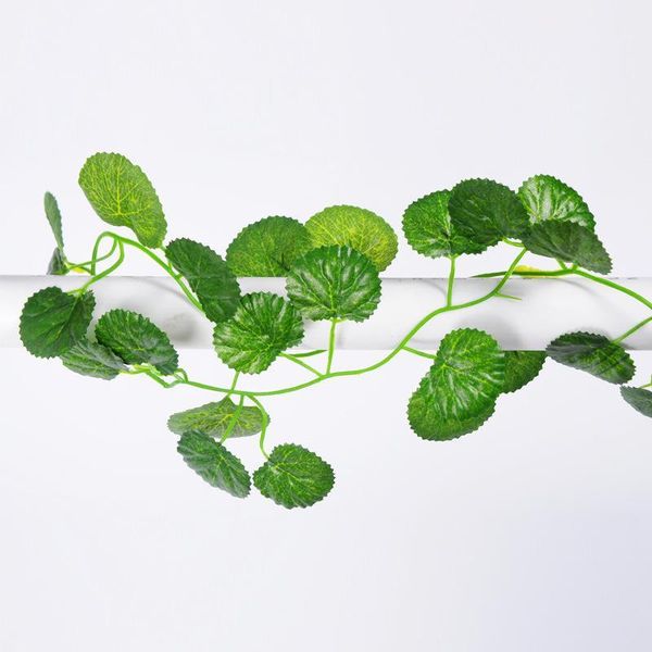 2.4m artificial chloranthus faux plants grape leaves plantas artificiais garden plant artificial for pgraphy decoration1
2.4m artificial chloranthus faux plants grape leaves plantas artificiais garden plant artificial for pgraphy decoration1