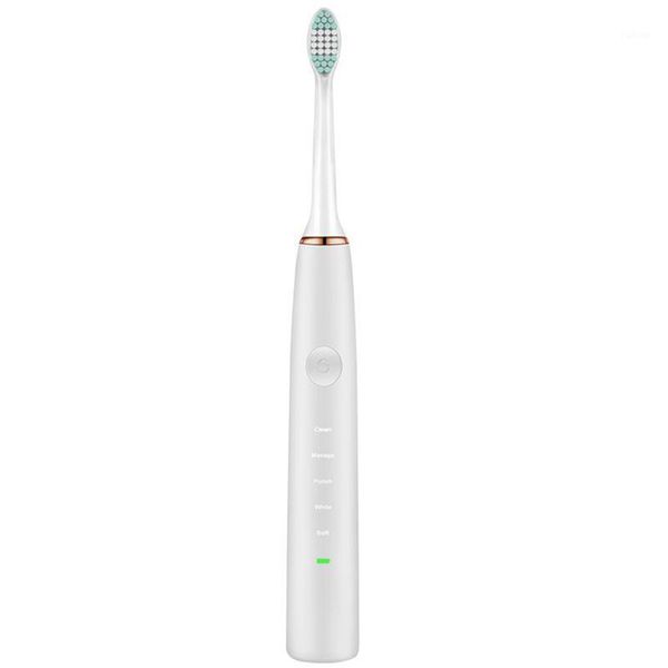 smart electric toothbrush usb charging toothbrush, sonic vibration ipx7 waterproof toothbrush(esd7000)1
smart electric toothbrush usb charging toothbrush, sonic vibration ipx7 waterproof toothbrush(esd7000)1