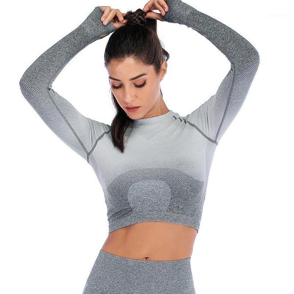 yoga outfits women long sleeve running shirts exposed navel t-shirts gradient sports quick dry fitness gym crop nvyj1231, White;red
yoga outfits women long sleeve running shirts exposed navel t-shirts gradient sports quick dry fitness gym crop nvyj1231, White;red