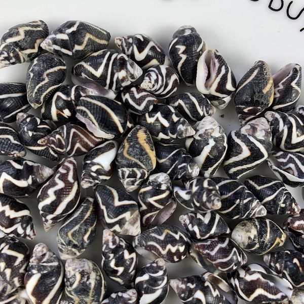 20pcs zebra ripple conch shells natural mini conch stripe seashell aquarium landscape decor accessories diy drifting bottle h jllwho
20pcs zebra ripple conch shells natural mini conch stripe seashell aquarium landscape decor accessories diy drifting bottle h jllwho