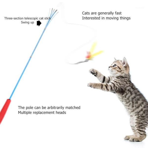 cat toys pet toy three-section funny stick black handle interactive exerciser training durable1
cat toys pet toy three-section funny stick black handle interactive exerciser training durable1