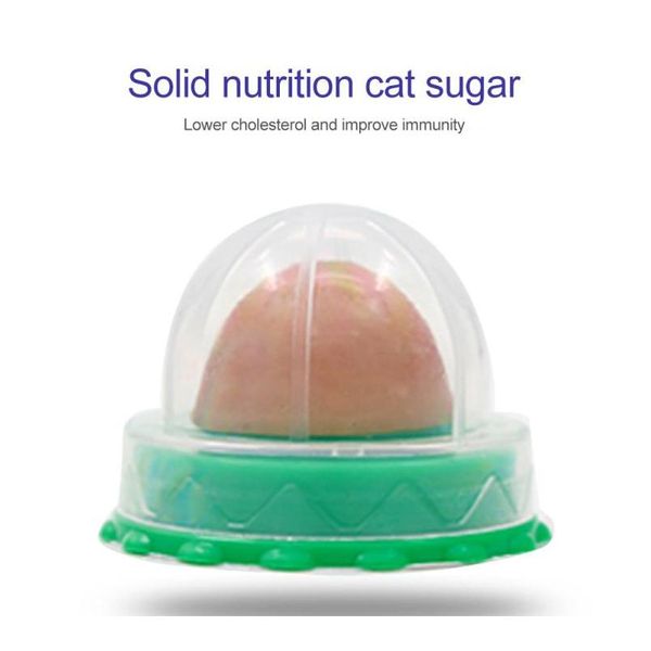 здоровое питание pet snucks fixed cat nutrition candy cat здоровый закусок мяч catnip nutrition gel энергетический мяч bbyhggw
здоровое питание pet snucks fixed cat nutrition candy cat здоровый закусок мяч catnip nutrition gel энергетический мяч bbyhggw