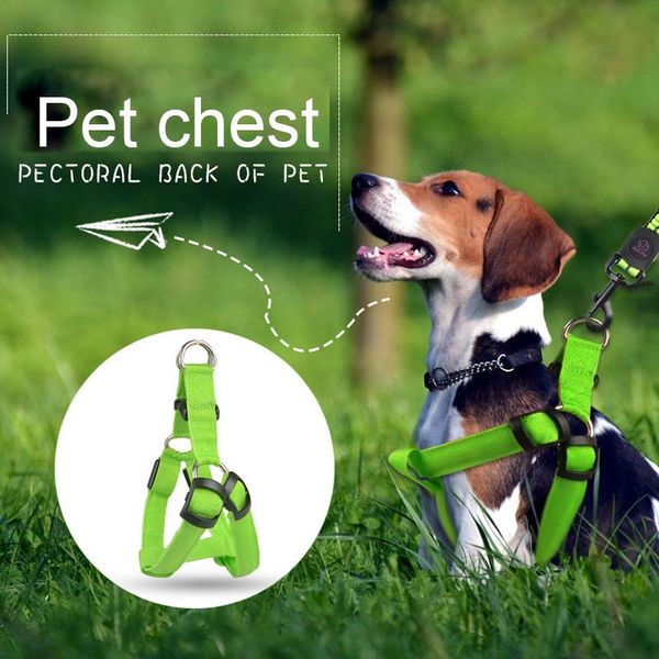 usb nylon dog leash safety led harness for dogs collars product flashing light led dog collar harness leash rope belt vest
usb nylon dog leash safety led harness for dogs collars product flashing light led dog collar harness leash rope belt vest
