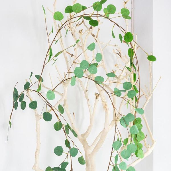 decorative flowers & wreaths 1pc 170cm artificial eucalyptus green leaf vine garden diy party holiday decor for home wall decoration1
decorative flowers & wreaths 1pc 170cm artificial eucalyptus green leaf vine garden diy party holiday decor for home wall decoration1