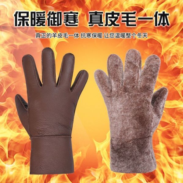 fur integrated genuine leather warm thick cashmere cold proof winter cycling five finger stuffy sheepskin gloves for men and, Blue;gray 
fur integrated genuine leather warm thick cashmere cold proof winter cycling five finger stuffy sheepskin gloves for men and, Blue;gray