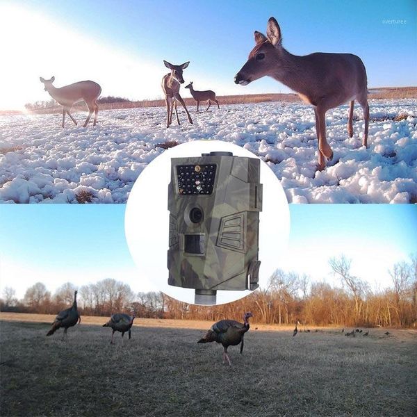 mini cameras 1080p wildlife tracking camera po trap night vision outdoor waterproof surveillance honeycomb hunting1
mini cameras 1080p wildlife tracking camera po trap night vision outdoor waterproof surveillance honeycomb hunting1