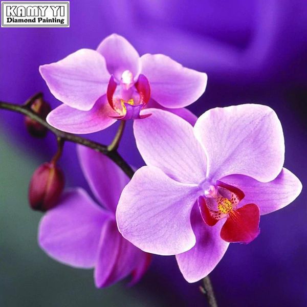 paintings 2021 5d rhinestones diy diamond painting cross stitch resin mosaic embroidery orchid floral
paintings 2021 5d rhinestones diy diamond painting cross stitch resin mosaic embroidery orchid floral
