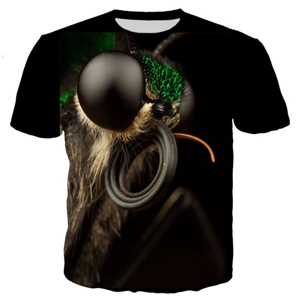 new cool tarantulas 3d print shirts kawaii hippie hippie men clothing
new cool tarantulas 3d print shirts kawaii hippie hippie men clothing