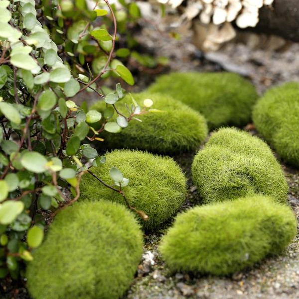 new 4 type size artificial green moss plants decorations creative home garden lawn floor landscape foam home diy adornments
new 4 type size artificial green moss plants decorations creative home garden lawn floor landscape foam home diy adornments