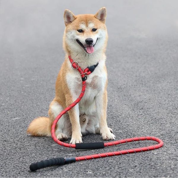 reflective dog harness leash for small medium large dogs leads rope durable pet supplies dogs leashes collar walking training
reflective dog harness leash for small medium large dogs leads rope durable pet supplies dogs leashes collar walking training