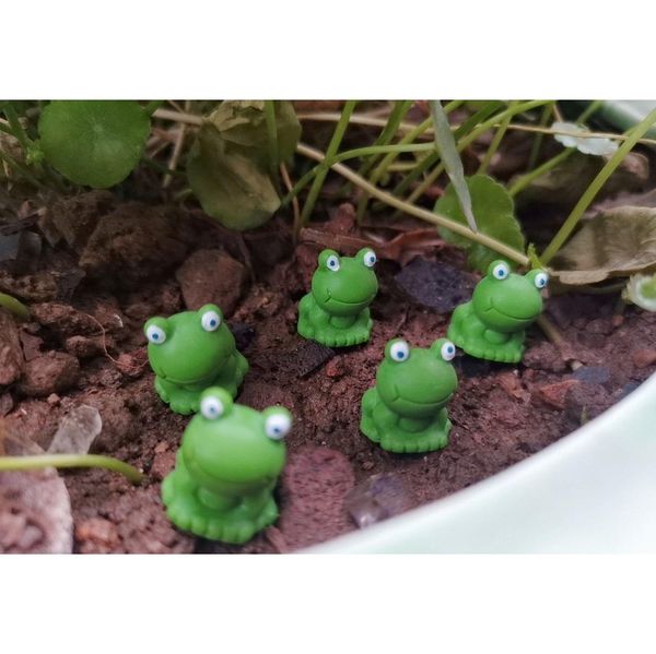 cartoon blue eye small frog ornament figurine doll kids gift moss terrarium micro landscape accessories fairy garden jllsnd eatout
cartoon blue eye small frog ornament figurine doll kids gift moss terrarium micro landscape accessories fairy garden jllsnd eatout