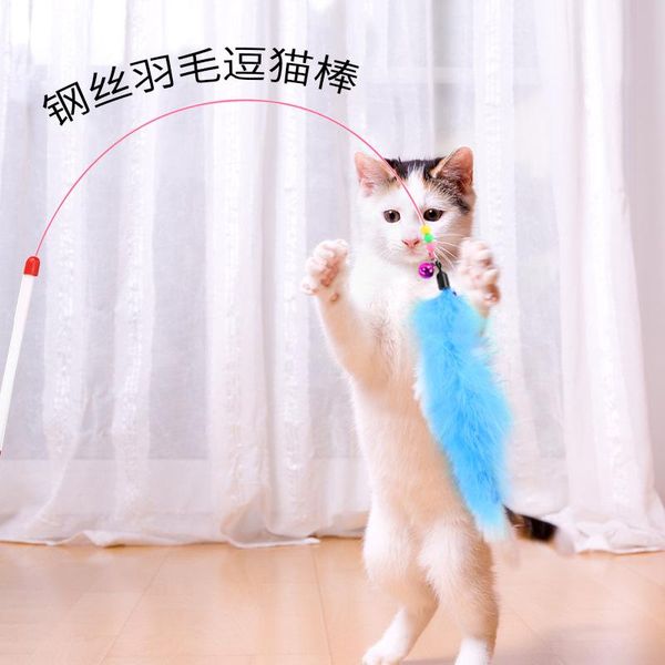 cat toys style color feather steel wire teaser bell bite resistant toy
cat toys style color feather steel wire teaser bell bite resistant toy