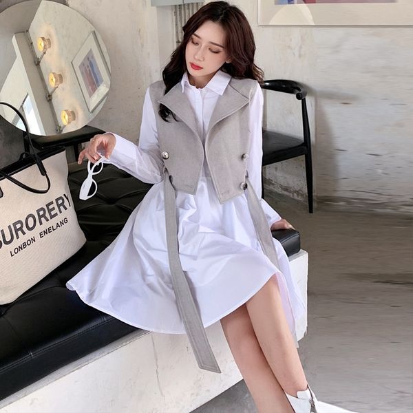fwsb1 women's slimming autumn new women's clothing korean style fashion temperament 2020 vest dress vest shirt dress two-piece sui, Gray
fwsb1 women's slimming autumn new women's clothing korean style fashion temperament 2020 vest dress vest shirt dress two-piece sui, Gray