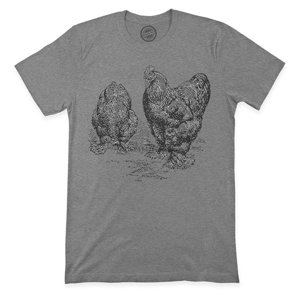 graphic rooster hen partridge cochins vintage animals 2 hoodie designers t shirts sweatshirt
graphic rooster hen partridge cochins vintage animals 2 hoodie designers t shirts sweatshirt