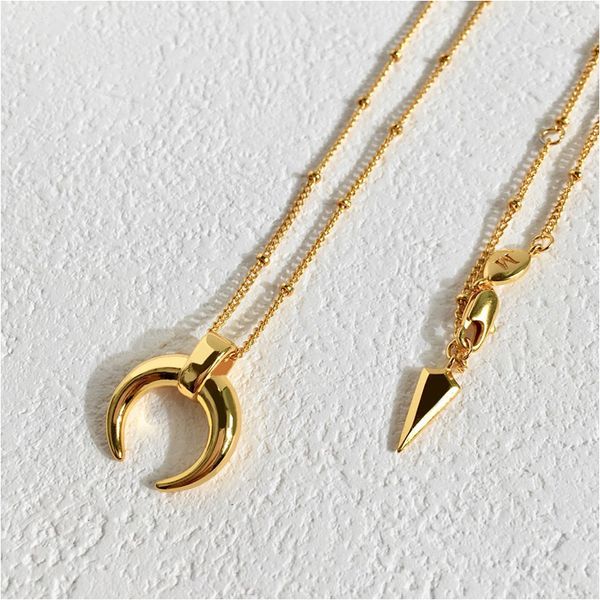 card necklace ox horn pendeloque cut necklace ornaments card necklace woman ornaments fashion jewelry for women with box, Silver
card necklace ox horn pendeloque cut necklace ornaments card necklace woman ornaments fashion jewelry for women with box, Silver