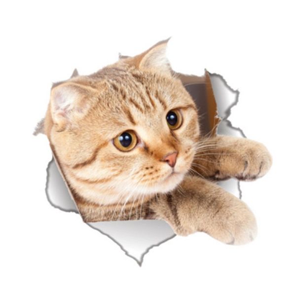 toilet sticker bathroom toilet wall stickers waterproof wall sticker creative pattern diy funny mural art home decoration
toilet sticker bathroom toilet wall stickers waterproof wall sticker creative pattern diy funny mural art home decoration