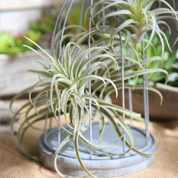 decorative flowers & wreaths metermall artificial pineapple grass air plants fake as home wall decoration1
decorative flowers & wreaths metermall artificial pineapple grass air plants fake as home wall decoration1
