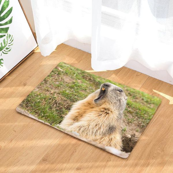 carpets squirrel printing land mat animal print door shower room kitchen toilet strip water uptake non-slip carpet floor rug1
carpets squirrel printing land mat animal print door shower room kitchen toilet strip water uptake non-slip carpet floor rug1