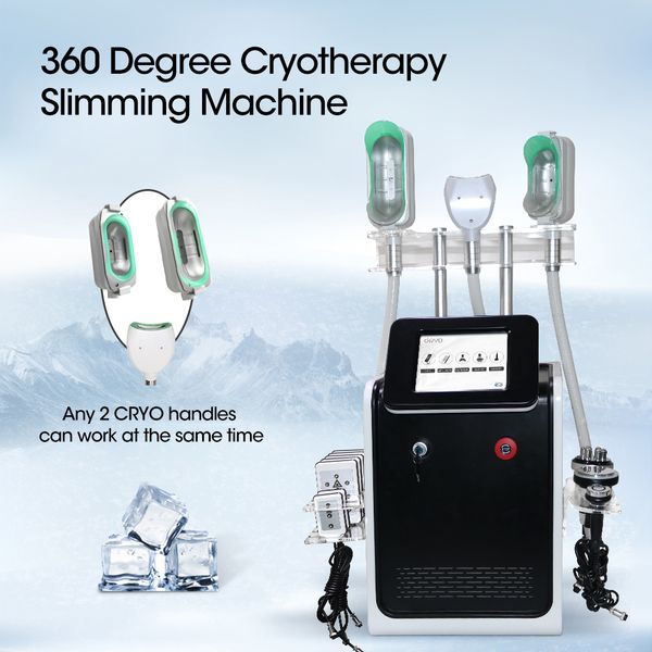 7 in 1 mini 360 cryo cryolipolisis fat ing machine double chin 360 cryolipolysis fat removal fat e abdomen belly slimming machine
7 in 1 mini 360 cryo cryolipolisis fat ing machine double chin 360 cryolipolysis fat removal fat e abdomen belly slimming machine