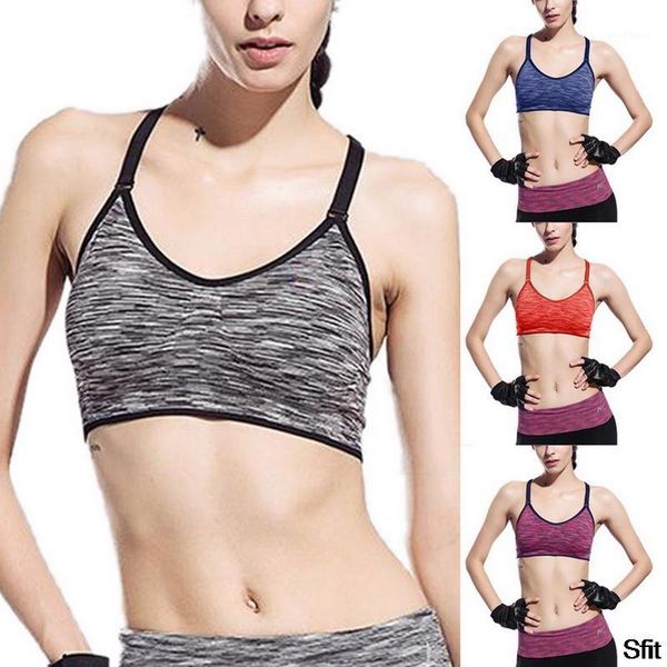 gym clothing quick dry padded sports bra,women wireadjustable fitness sport brassiere,push up seamless running yoga bra1, White;black
gym clothing quick dry padded sports bra,women wireadjustable fitness sport brassiere,push up seamless running yoga bra1, White;black