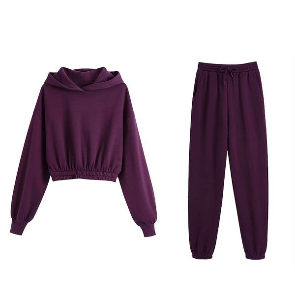 women's tracksuits women 2 pieces set solid long sleeve hooded crop sweatshirt pants suit female fashion casual clothes, Gray
women's tracksuits women 2 pieces set solid long sleeve hooded crop sweatshirt pants suit female fashion casual clothes, Gray