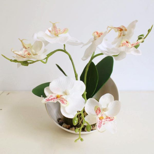 trident phalaenopsis creative bonsai simulation flower manufacturers simulation plant potted plants
trident phalaenopsis creative bonsai simulation flower manufacturers simulation plant potted plants