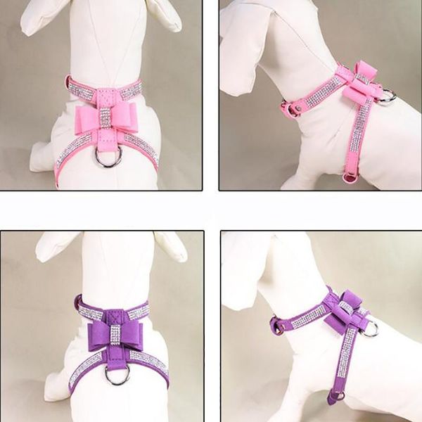 dog collars & leashes pet collar small chihuahua supplies puppy harness velvet and leather leash
dog collars & leashes pet collar small chihuahua supplies puppy harness velvet and leather leash