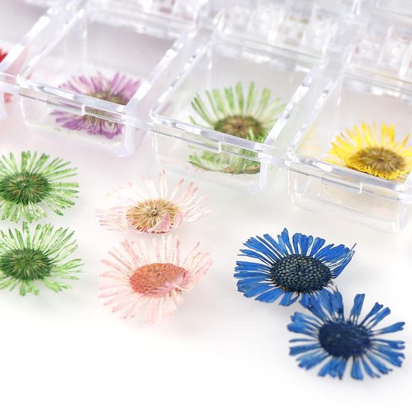 japanese dried flowers 12 petals real flower eternal flower p therapy crystal box for uv resin epoxy mold de bbyrmw
japanese dried flowers 12 petals real flower eternal flower p therapy crystal box for uv resin epoxy mold de bbyrmw