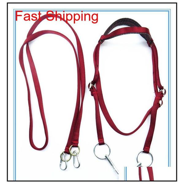 fullset horse halter bridle pony fixed rein belt durable horse riding qylfjj packing2010
fullset horse halter bridle pony fixed rein belt durable horse riding qylfjj packing2010