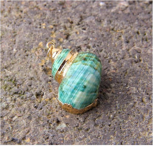 26*16-33*22 mm 5 pcs natural spiral shell charm pendants conch at random gold for jewelry making diy necklace bracelet qylgyp, Black
26*16-33*22 mm 5 pcs natural spiral shell charm pendants conch at random gold for jewelry making diy necklace bracelet qylgyp, Black