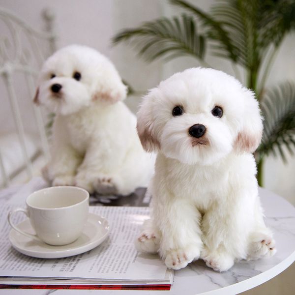 simulation maltese dog plush toy stuffed animal super realistic schnauzer toy for luxury home decor pet lover gift 1011
simulation maltese dog plush toy stuffed animal super realistic schnauzer toy for luxury home decor pet lover gift 1011