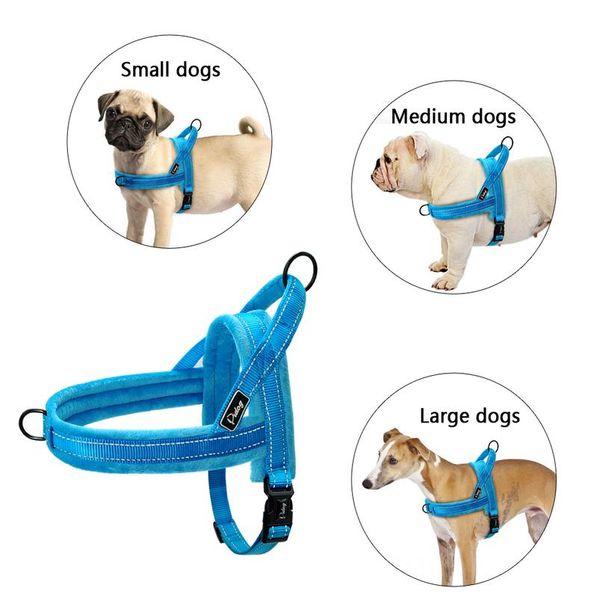 nylon reflective pet dog harnesses vest soft flannel padded no pull strap harness for walking training small medium la sqclcd
nylon reflective pet dog harnesses vest soft flannel padded no pull strap harness for walking training small medium la sqclcd