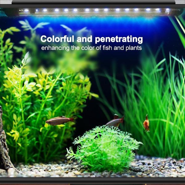 marine led aquarium fishing lighting 29cm fish tank eu/us/uk/au plug underwater lamp aquariums decor1
marine led aquarium fishing lighting 29cm fish tank eu/us/uk/au plug underwater lamp aquariums decor1