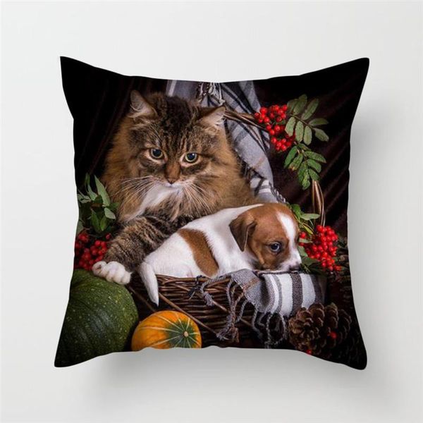 fuwatacchi cute cat cushion cover cat and butterfly pillow cover for sofa home chair animals throw decorative pillows 4545cm swy wmtevy
fuwatacchi cute cat cushion cover cat and butterfly pillow cover for sofa home chair animals throw decorative pillows 4545cm swy wmtevy