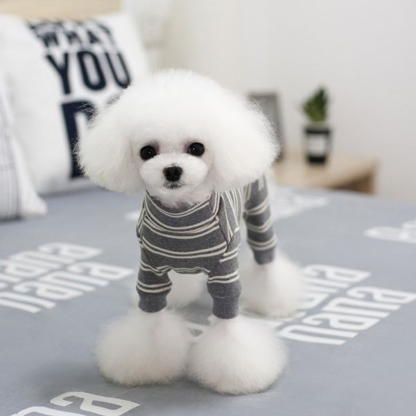 four legged bottom coat pet little milk teddy bear bomei small dog cat winter autumn cloth
four legged bottom coat pet little milk teddy bear bomei small dog cat winter autumn cloth