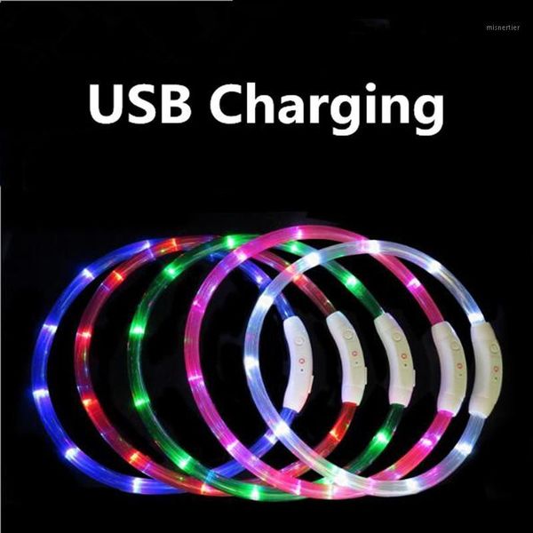 dog collars & leashes pet usb rechargeable led collar light night safety flashing supplies dogs accessories for small large1
dog collars & leashes pet usb rechargeable led collar light night safety flashing supplies dogs accessories for small large1