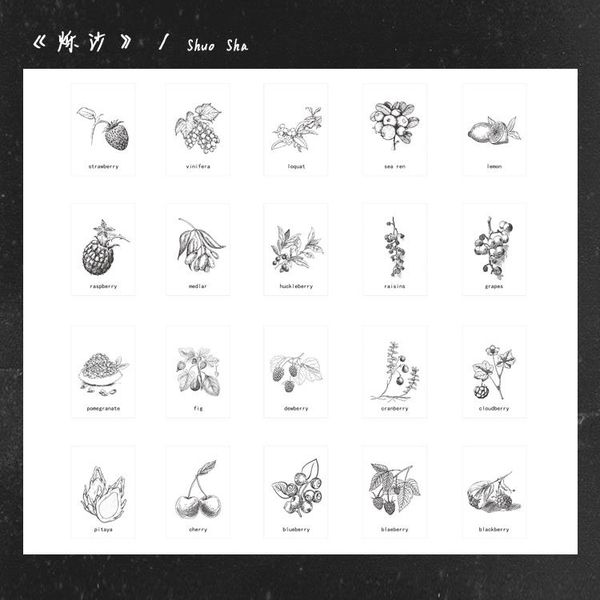 40 шт. старинные черно-белые растения стикер записки креативный diy дневник дневник дневник наклейки лист канцтовары sqcbcm
40 шт. старинные черно-белые растения стикер записки креативный diy дневник дневник дневник наклейки лист канцтовары sqcbcm