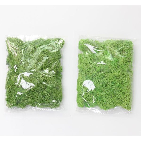 20g/set artificial plant eternal life moss / garden home decoration wall diy flower material mini garden micro la jllbev lajiaoyard
20g/set artificial plant eternal life moss / garden home decoration wall diy flower material mini garden micro la jllbev lajiaoyard