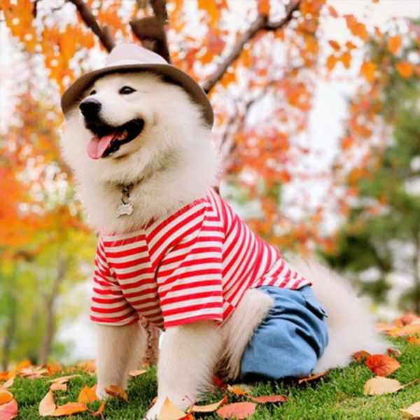 medium large dog clothes pet dog jumpsuit striped pet clothes for dogs golden retriever big dogs costume labrador products1
medium large dog clothes pet dog jumpsuit striped pet clothes for dogs golden retriever big dogs costume labrador products1