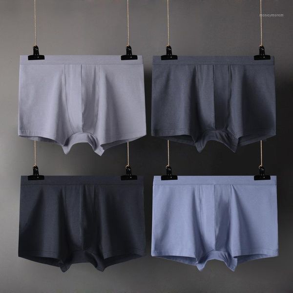 underpants 4pcs/lots 6xl mens boxer shorts modal slip homme underwear calzoncillos seamless boxershorts cuecas gay panties plus size1, Black;white 
underpants 4pcs/lots 6xl mens boxer shorts modal slip homme underwear calzoncillos seamless boxershorts cuecas gay panties plus size1, Black;white