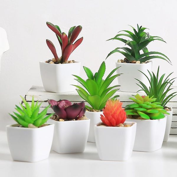 decorative flowers & wreaths mini cactus succulent bonsai fake potted plants artificial succulents with pot kunstplanten home decoration acc
decorative flowers & wreaths mini cactus succulent bonsai fake potted plants artificial succulents with pot kunstplanten home decoration acc