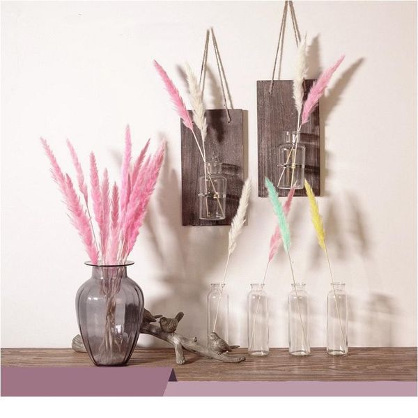 natural dried flowers diy artificial flowers decorative pampas grass phragmites wheat plants for home wedding decorati jlljxh
natural dried flowers diy artificial flowers decorative pampas grass phragmites wheat plants for home wedding decorati jlljxh