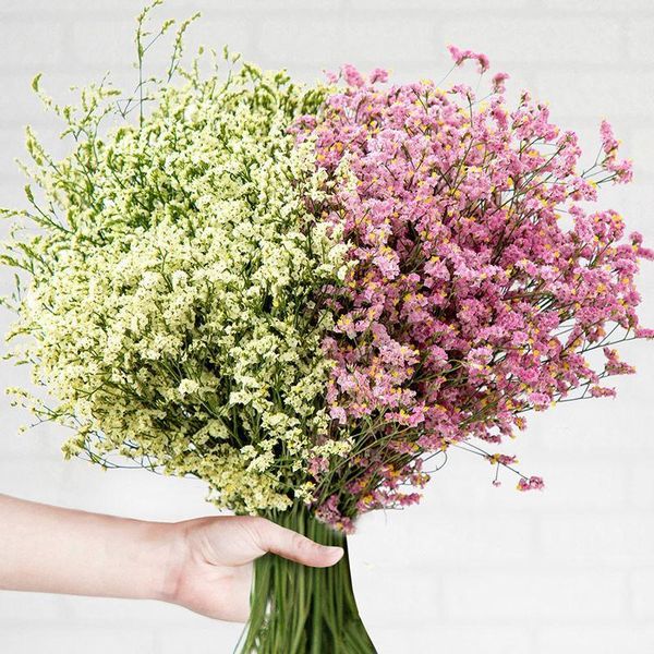 100g natural 55cm crystal grass eternal life flower bouquets valentines day arrangement for living room wedding home decor1
100g natural 55cm crystal grass eternal life flower bouquets valentines day arrangement for living room wedding home decor1