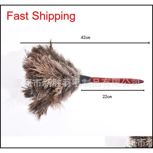 40 cm remove dust feather duster household round head ostrich hair redwood pole dusters creative p qyltkz item_home
40 cm remove dust feather duster household round head ostrich hair redwood pole dusters creative p qyltkz item_home