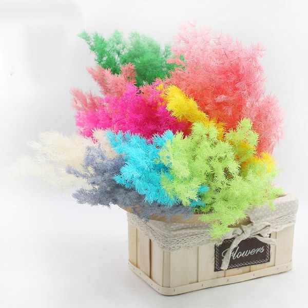 80g/lot,natural fresh preserved pine needles branch,eternelle flower for wedding party christmas decoration,home decor flower1
80g/lot,natural fresh preserved pine needles branch,eternelle flower for wedding party christmas decoration,home decor flower1