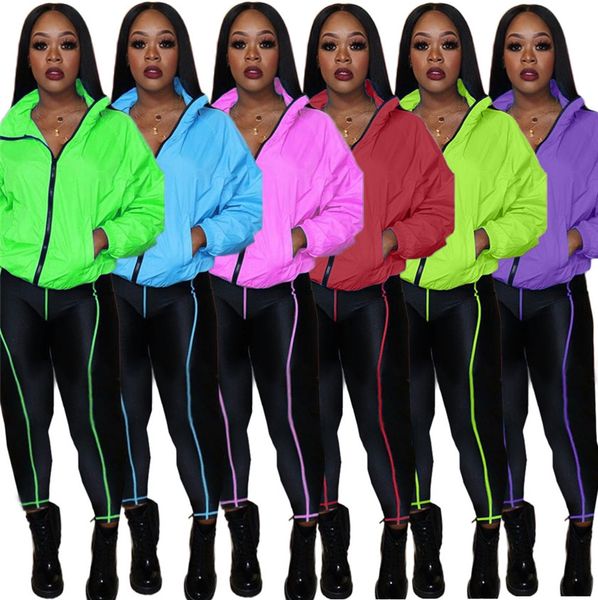 designers women clothing sets fluorescent solid color tracksuits long sleeve zipper jacket coats pants two piece outfits sports suit f110602, White
designers women clothing sets fluorescent solid color tracksuits long sleeve zipper jacket coats pants two piece outfits sports suit f110602, White