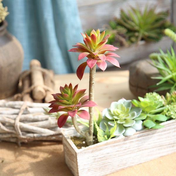 decorative flowers & wreaths artificial succulents land lotus plants grass fake flower christmas decorations for home plantas artificiales
decorative flowers & wreaths artificial succulents land lotus plants grass fake flower christmas decorations for home plantas artificiales